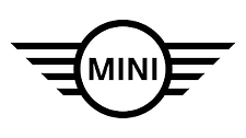mini Brake Repair and Oil Change service